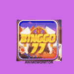 BingGo77 Game