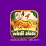 Winli Slots Game